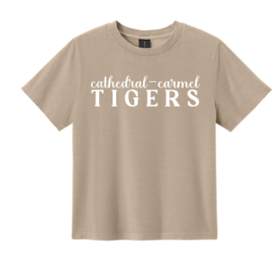 Volunteer Shirt